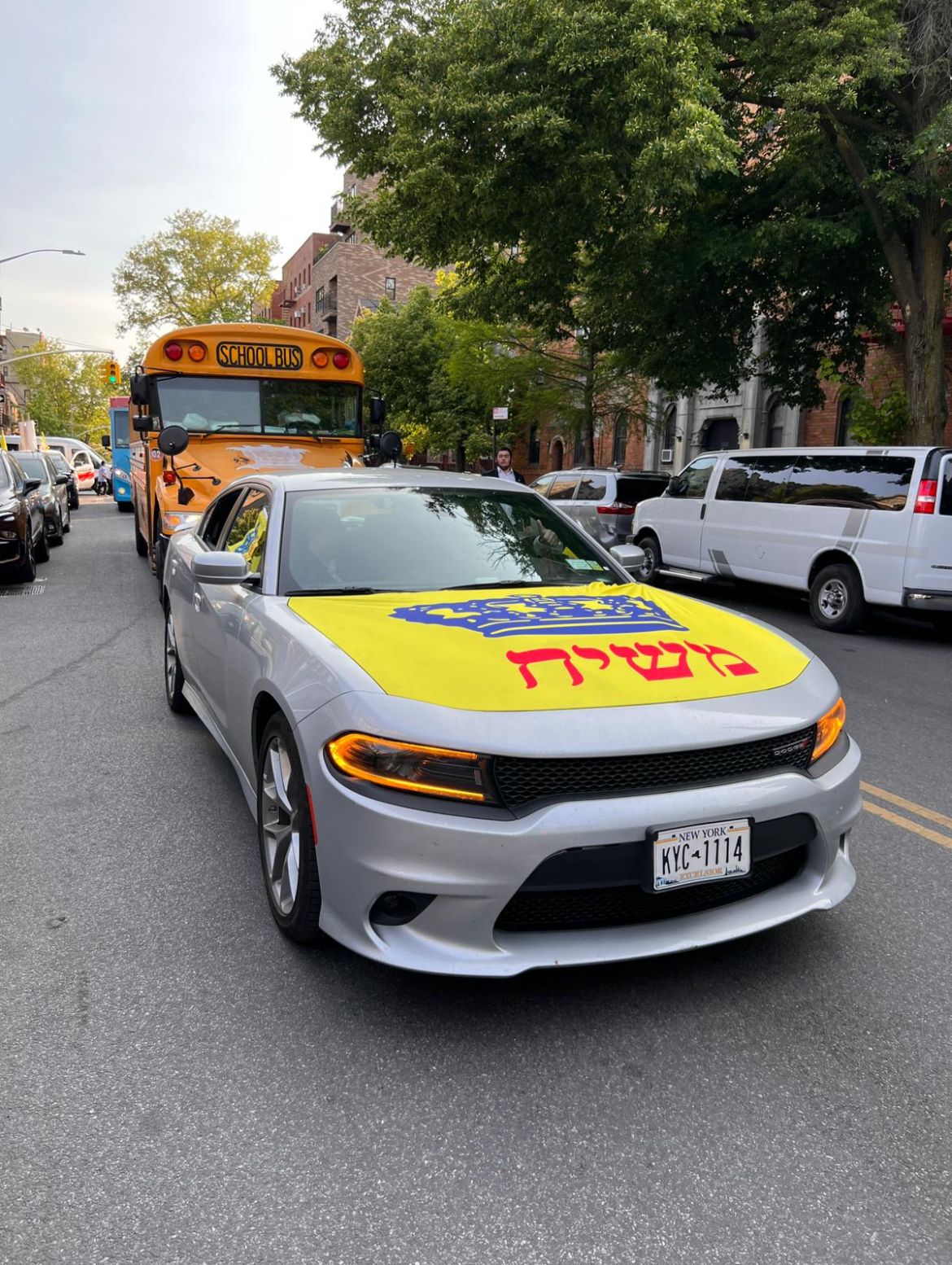 ae698fda-e4b9-4eba-ad9c-9d352c879eab כיסוי משיח למכסה מנוע – תמונה 1