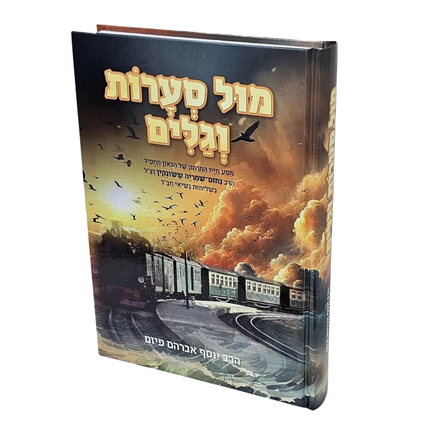 מול סערות וגלים מול סערות וגלים – תמונה 1