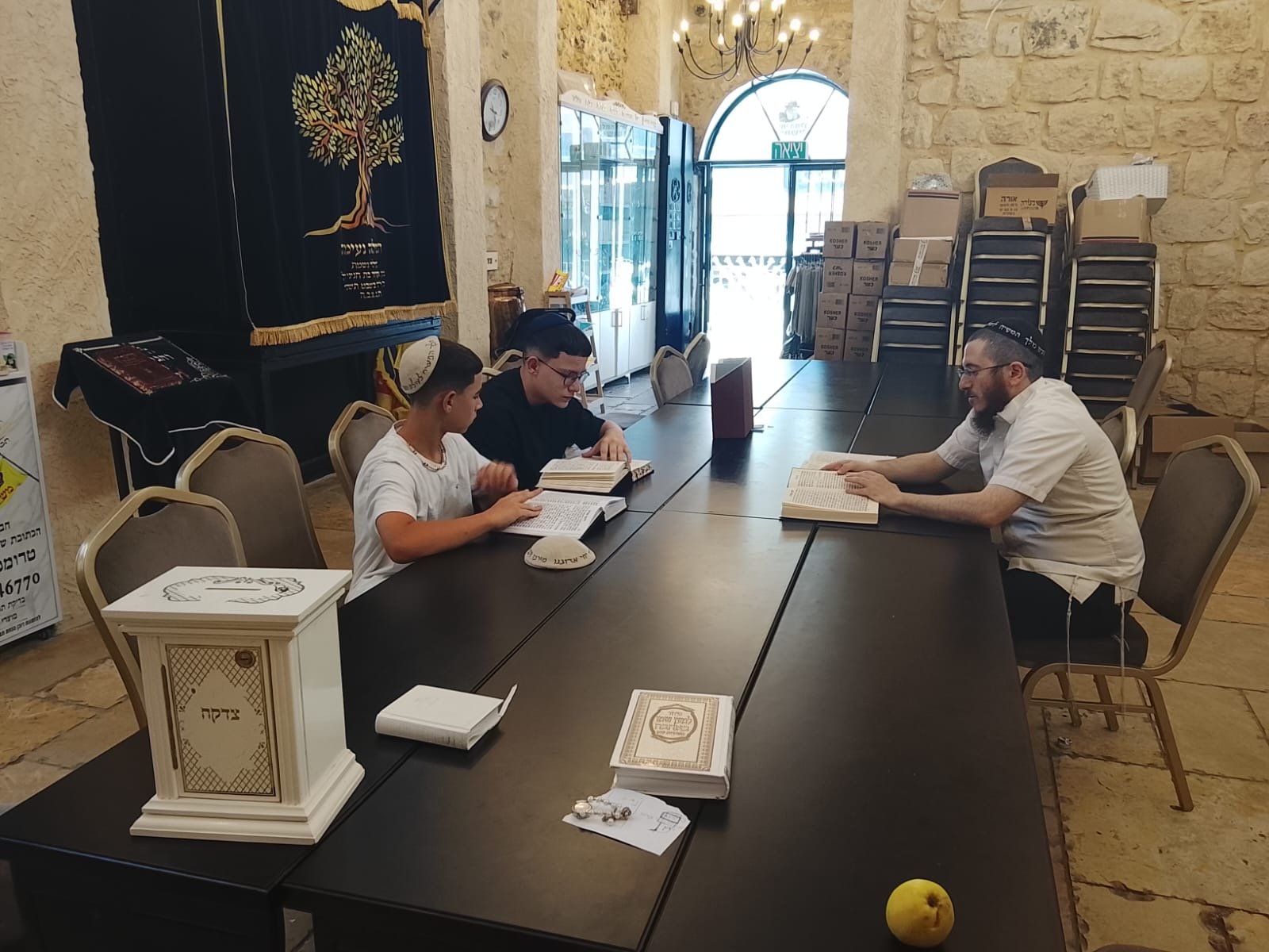 תמונת קמפיין 37