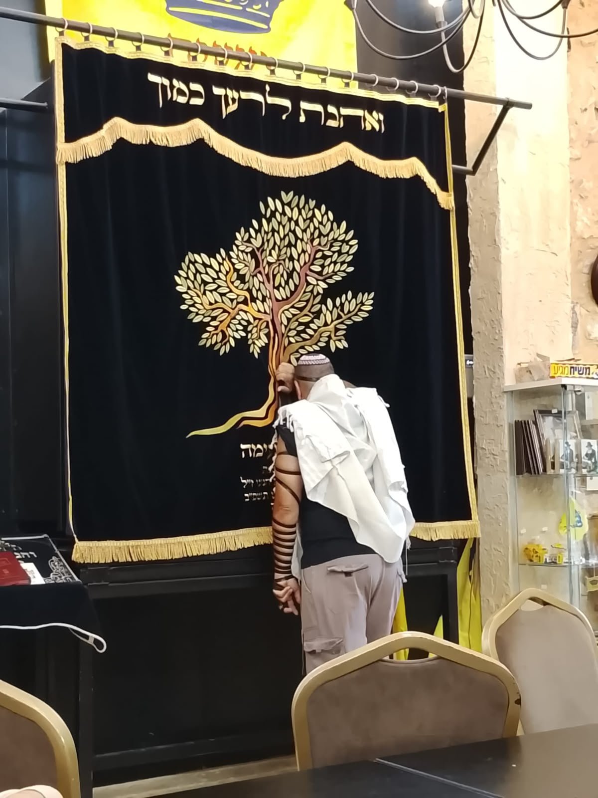 תמונת קמפיין 41